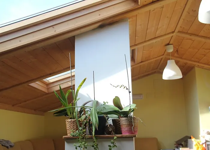 Curavacas بيت شباب *